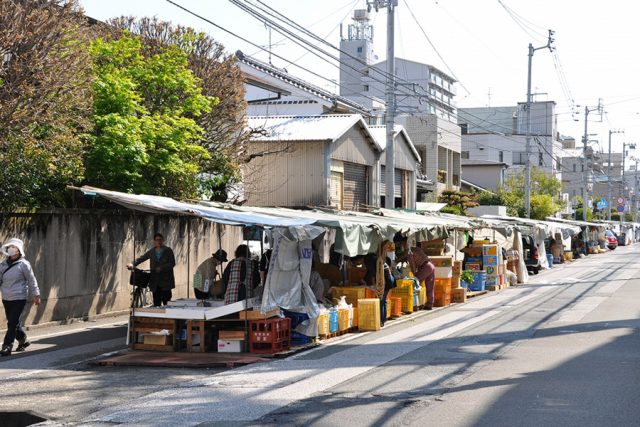 【高知の街路市】高知市には全国でも珍しい曜日ごとに開かれる街路市がある