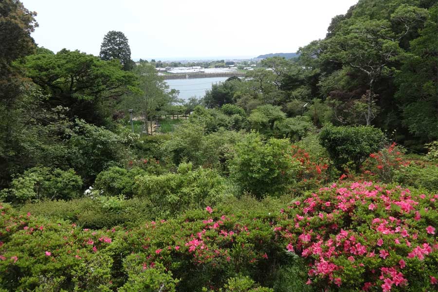 桜つづみ公園