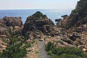 散策にぴったり遊歩道