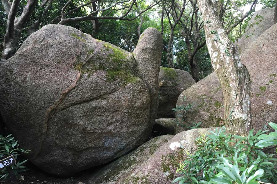 かめの石