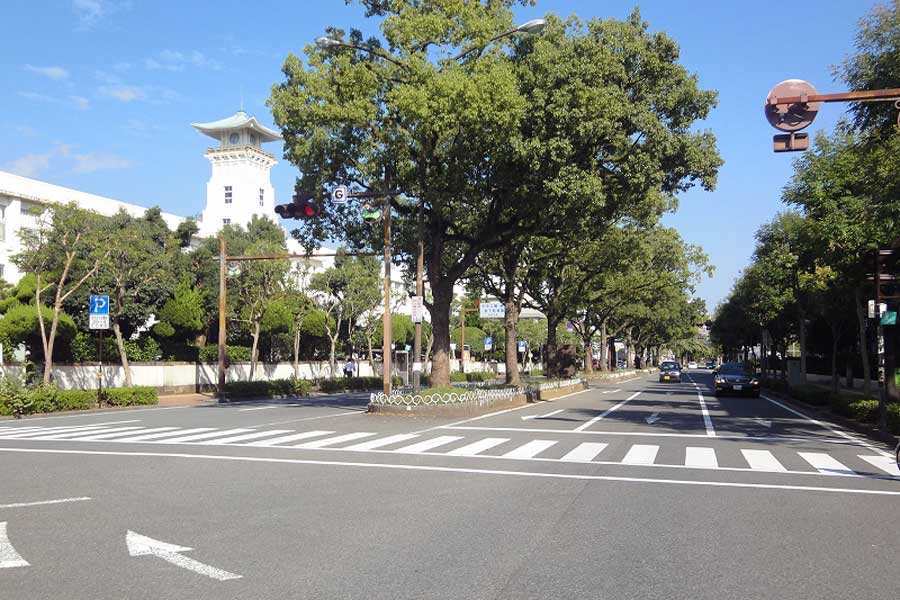 大手前通り・学校の多い地域です