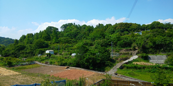 街の北西の方には山林が広がっており、木々の安らぎを感じられます