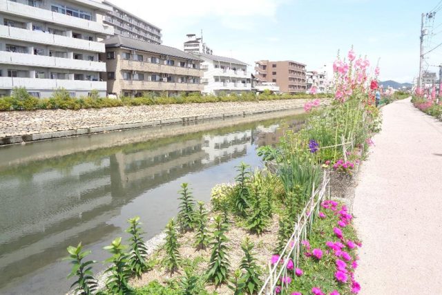 【住宅地が広がる住みやすさ抜群のエリア】高知市中心部☆桜井町周辺