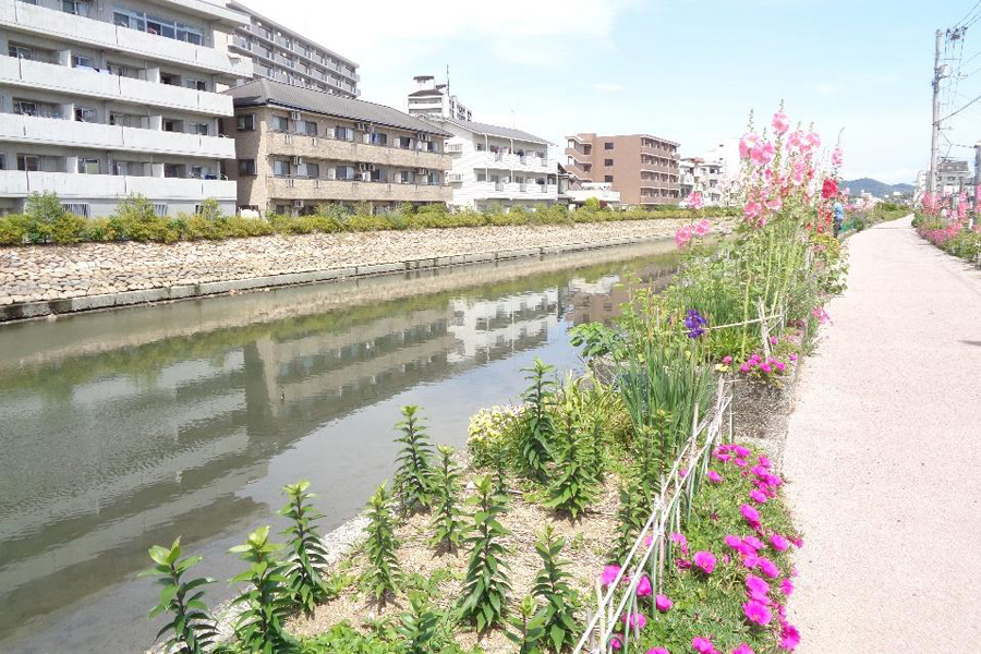 桜井町・江ノ口川