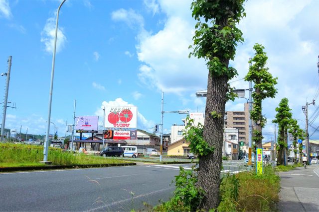 【利便性と環境を併せ持つエリア】高知市西部・鴨部周辺