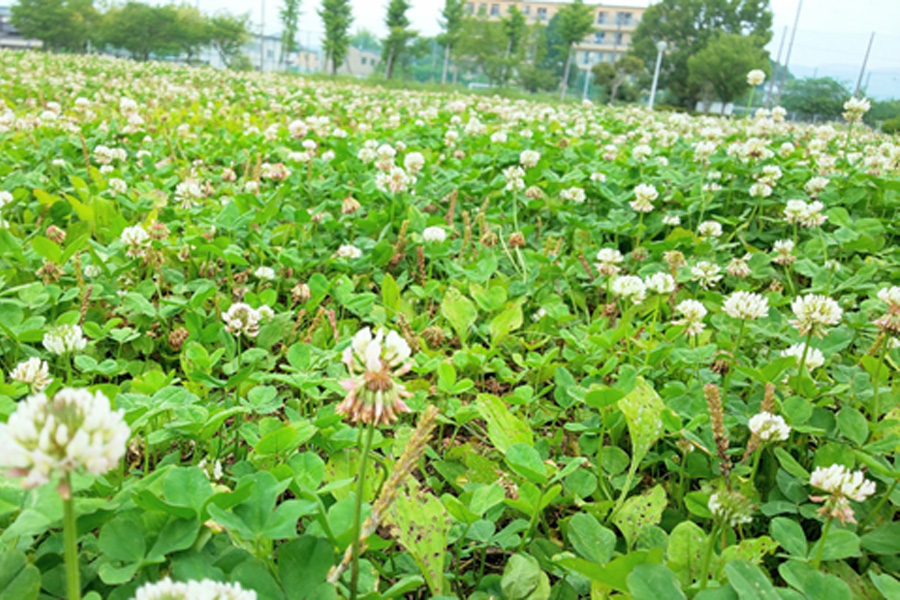 神田公園