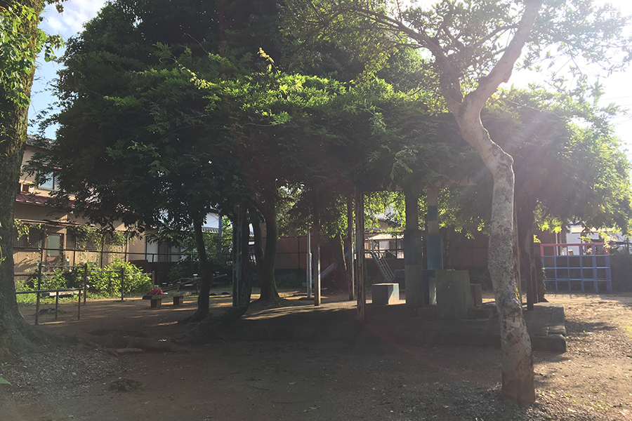 小石木公園1