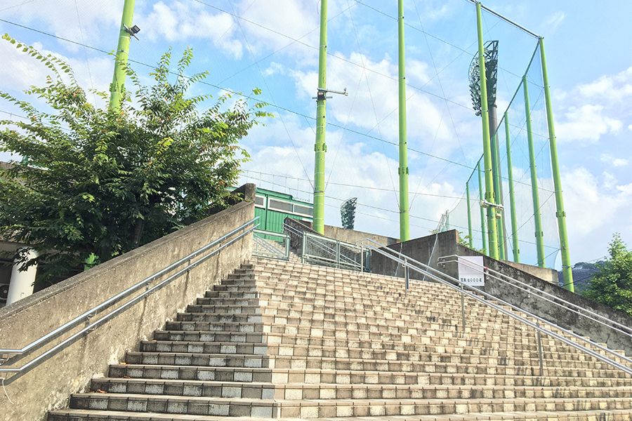 高知市総合運動場