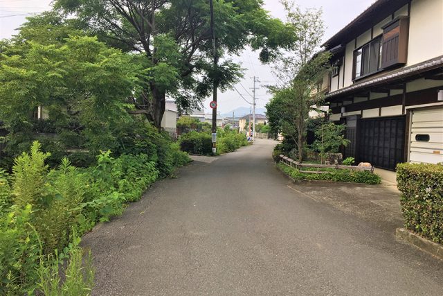 【人々の胃と心を掴む街】 若草町周辺