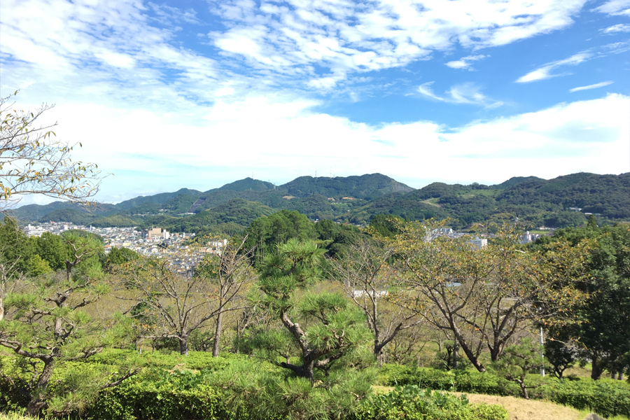 針木浄水場運動・自然公園