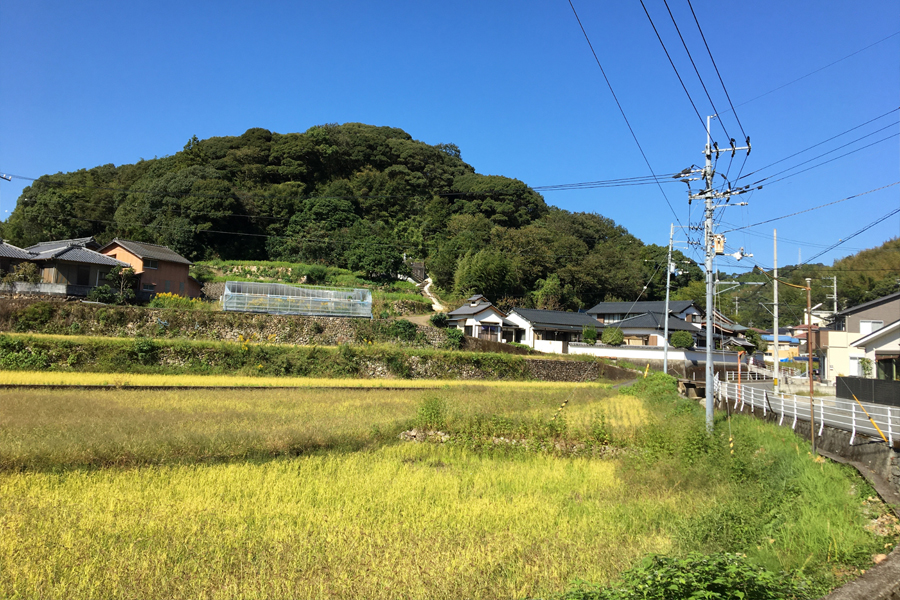 正法寺方面を望む