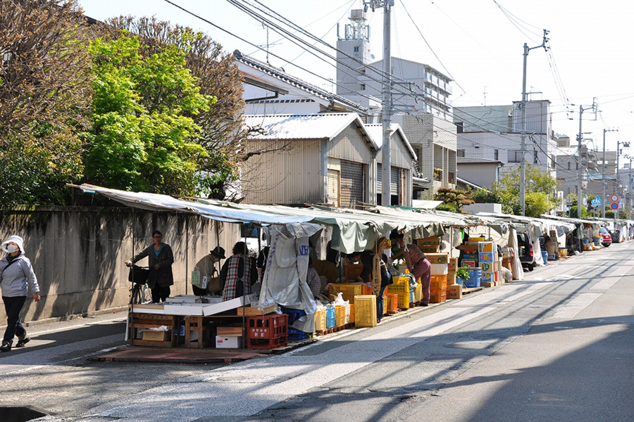 高知の街路市 高知市には全国でも珍しい曜日ごとに開かれる街路市がある