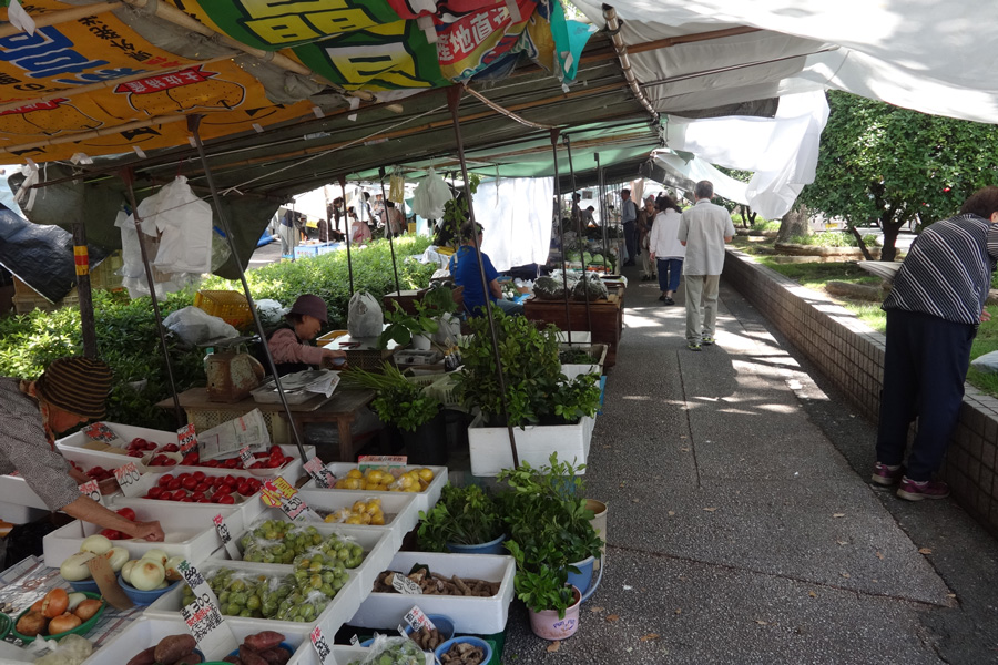 高知の街路市 高知市には全国でも珍しい曜日ごとに開かれる街路市がある